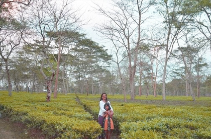 kaziranga fun tour