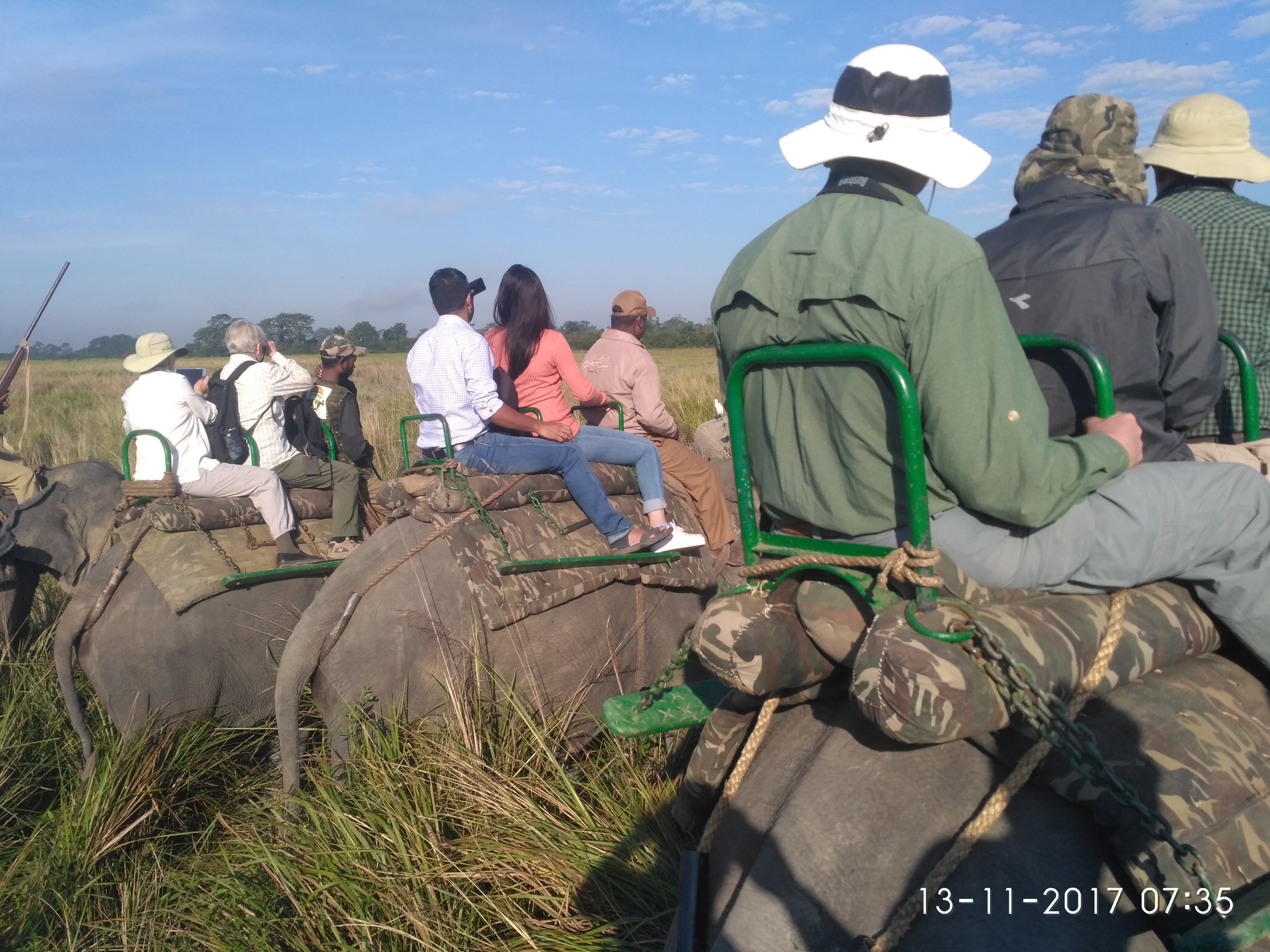 Exploring wildlife in kaziranga