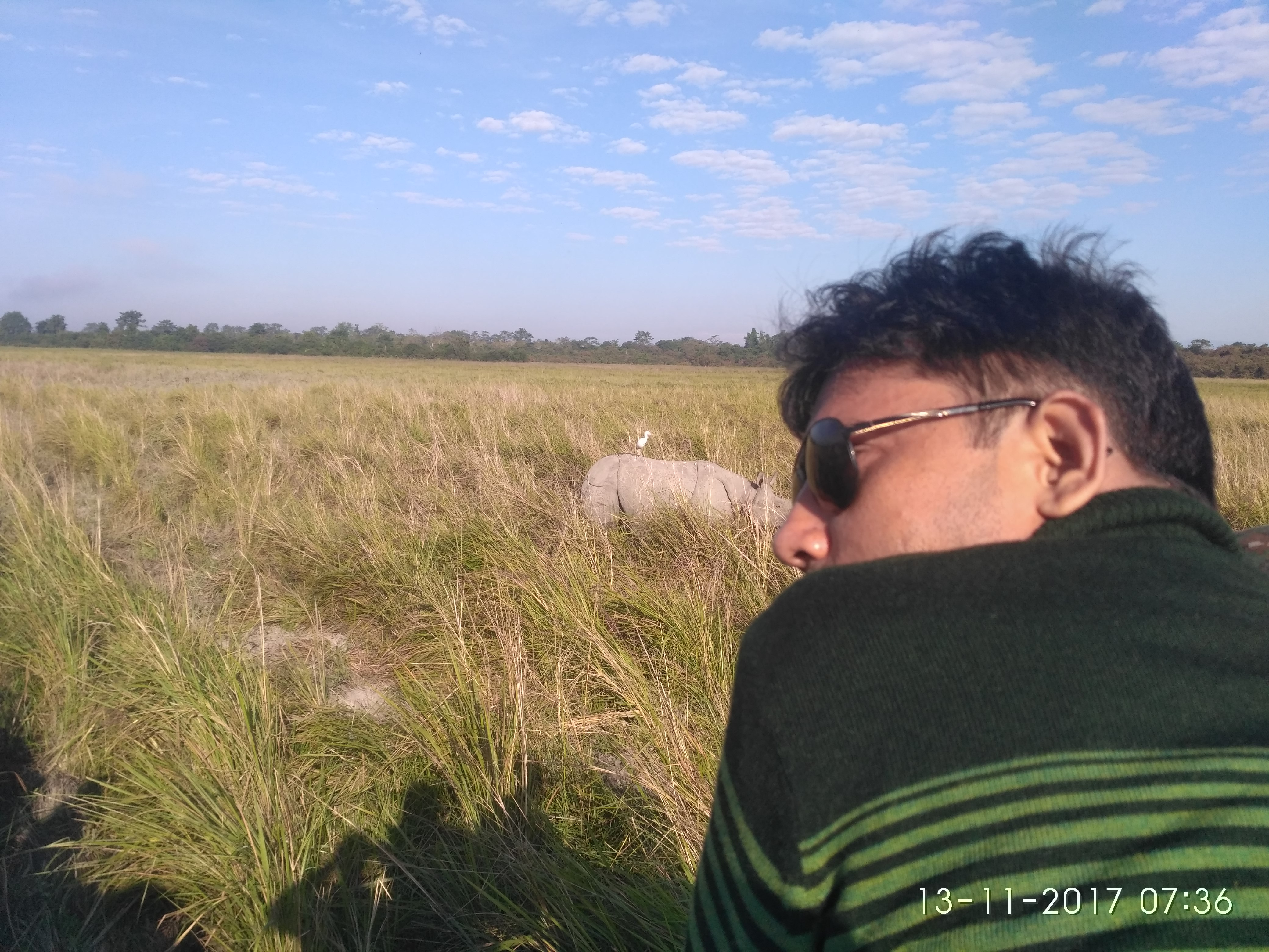 rhino in kaziranga