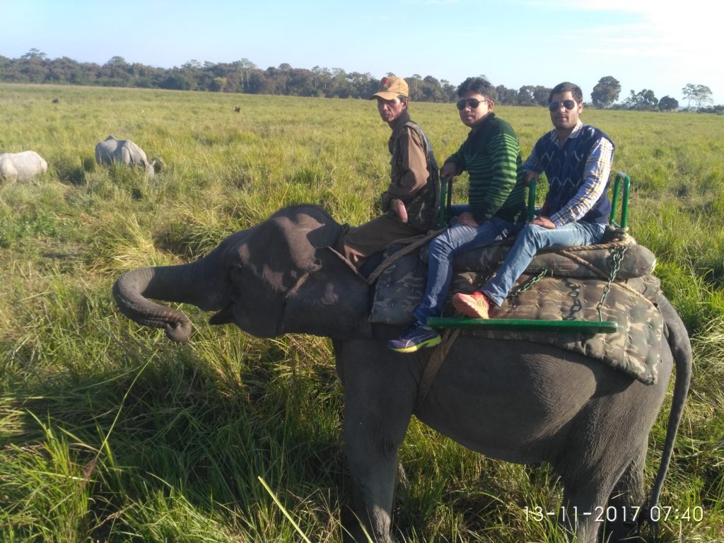 kaziranga park reopened