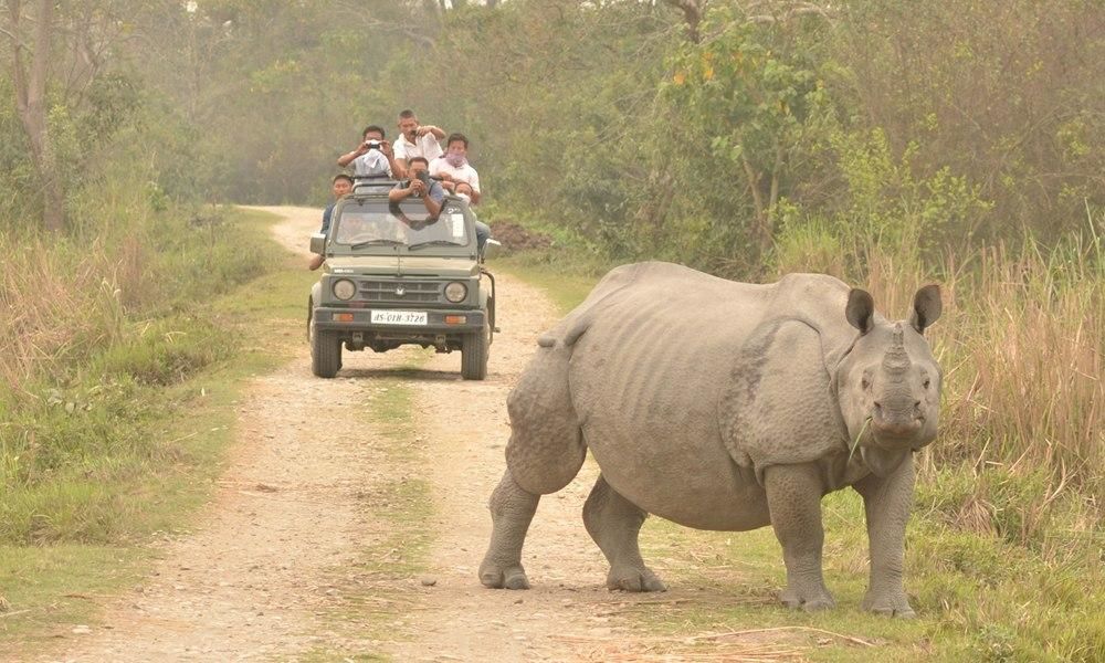 kaziranga park jeep safari