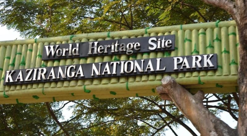 kaziranga world heritage site
