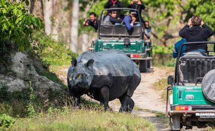 kaziranga jeep safari guidelines 