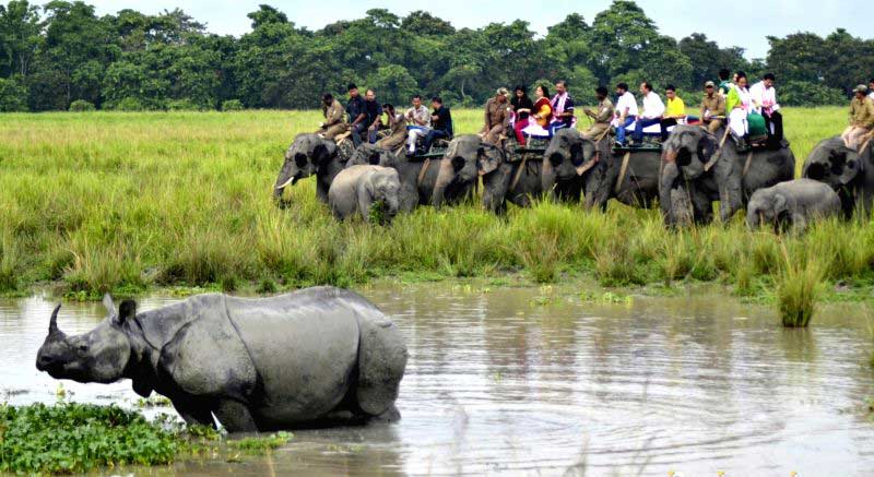 jeep safari in kaziranga