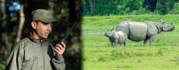 satellite phone in kaziranga national park