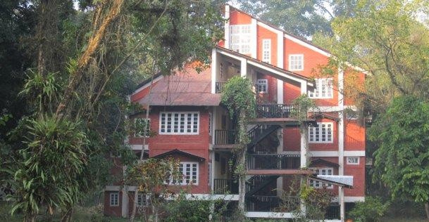 wild grass lodge kaziranga