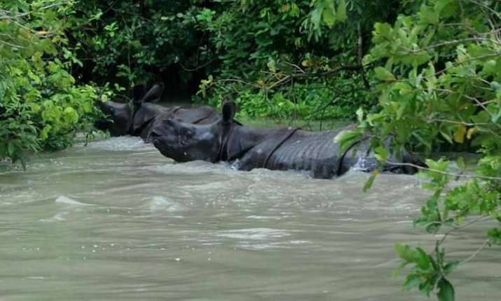 national park kaziranga