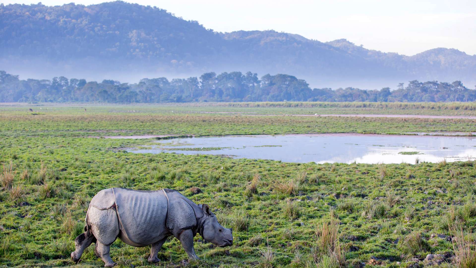 kaziranga holiday tour