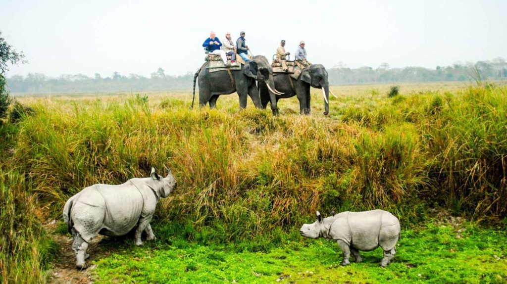 best time visit kaziranga