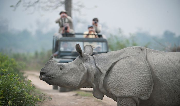 kaziranga safari