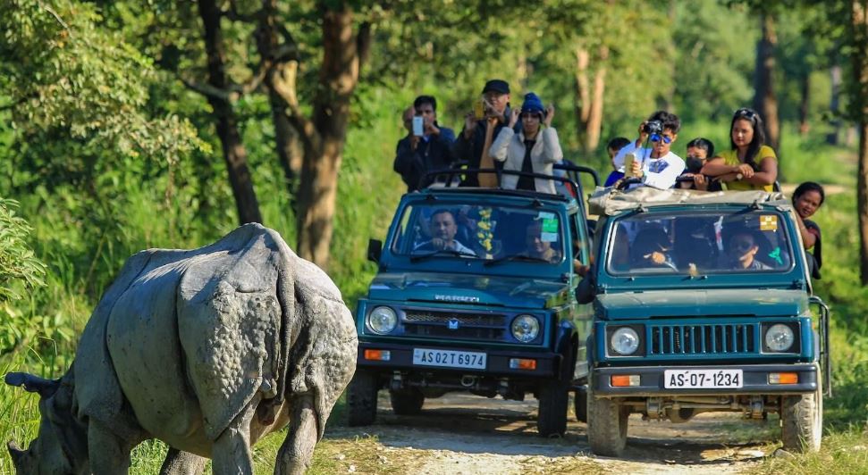 safari tips kaziranga