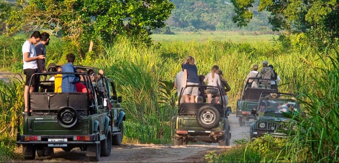 kaziranga range