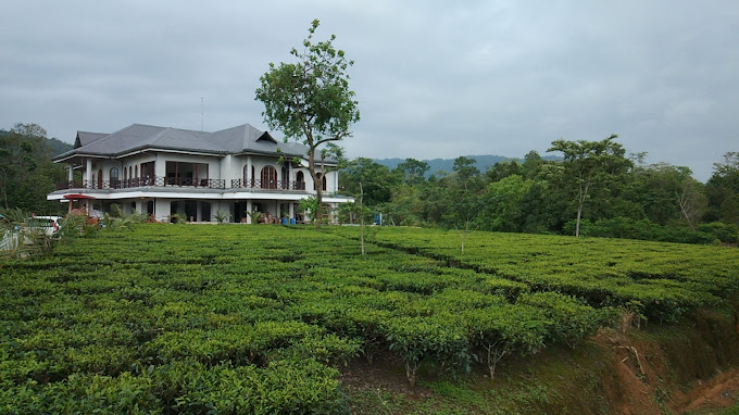 tea garden bungalow