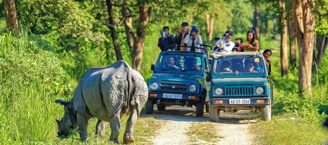 kaziranga jeep safari