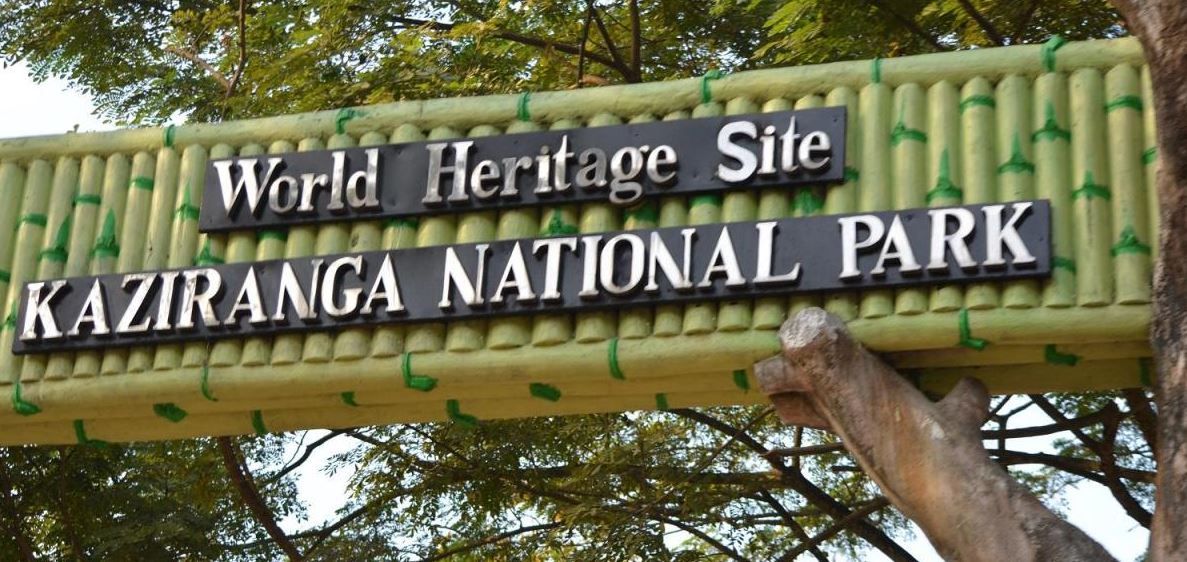kaziranga heritage site