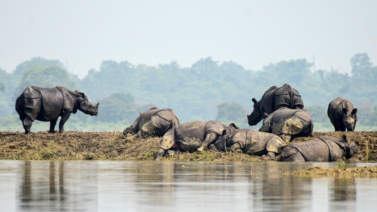 floodplains in assam