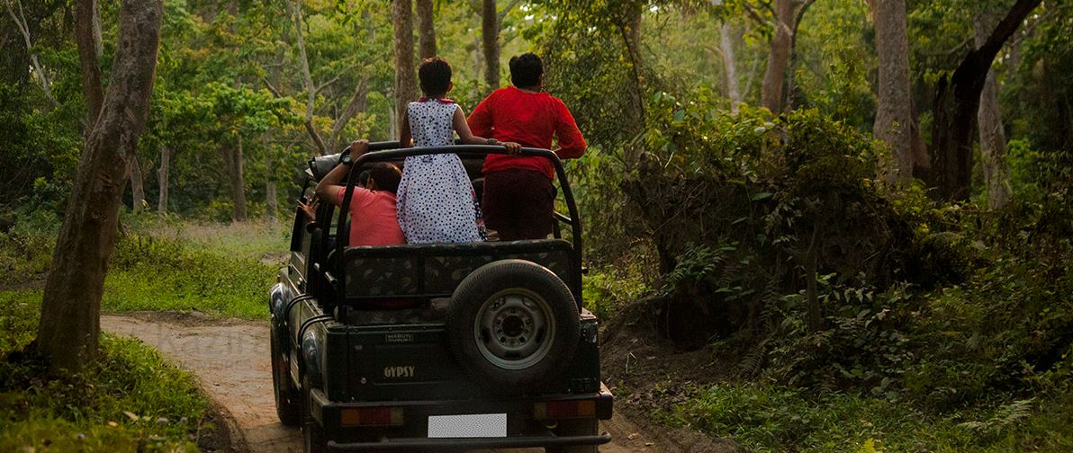 kaziranga safari