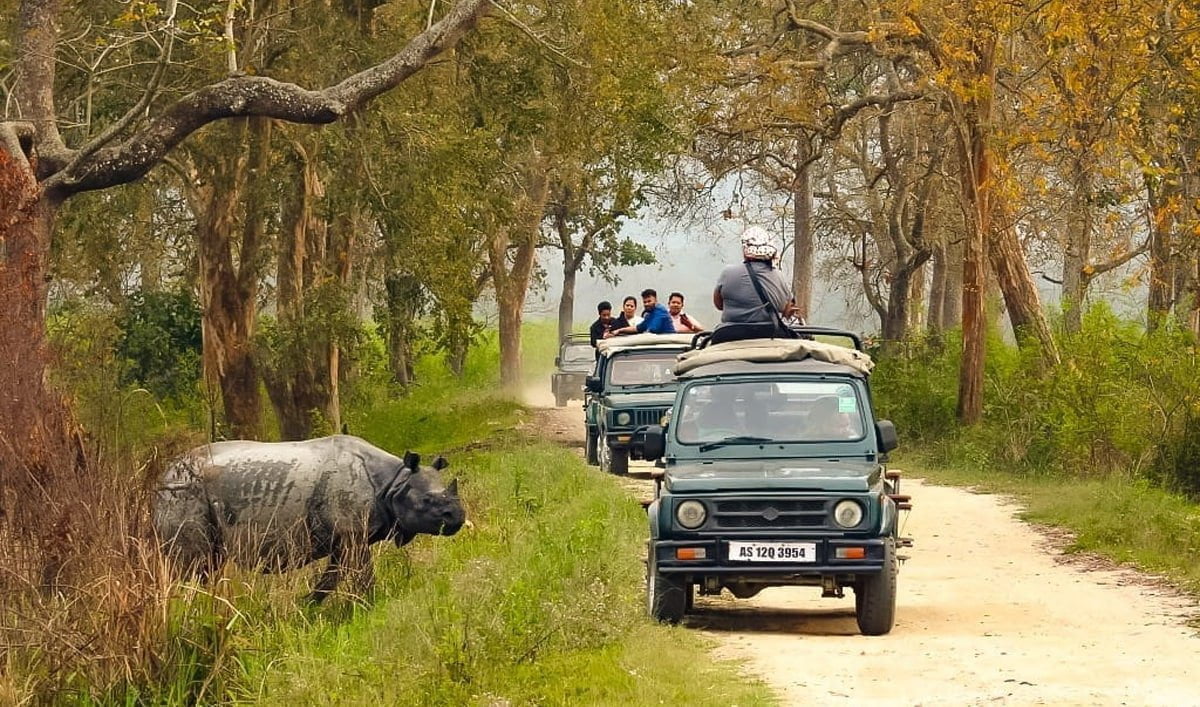 kaziranga tour
