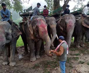Elephant puja in Kaziranga before safari