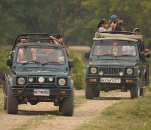 kaziranga best time visit