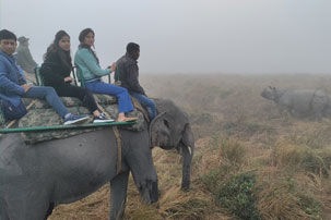 kaziranga best time visit