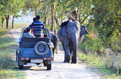 kaziranga jeep safari