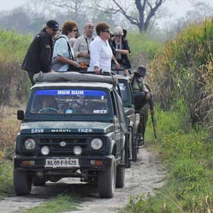 Tourists on jeep safari in Kaziranga National Park