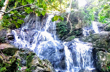 kaziranga waterfall tour 