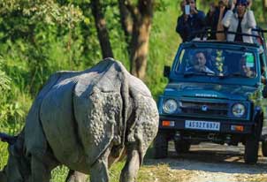 kaziranga fun tour