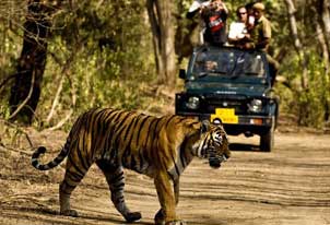 kaziranga fun tour with one jeep