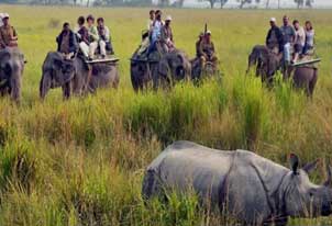 kaziranga holiday tour