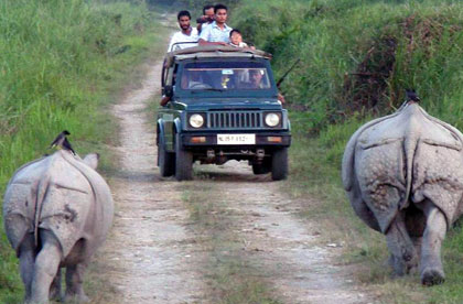 kaziranga jeep ride 