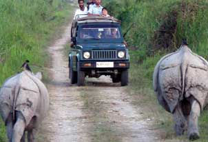 kaziranga weekend tour