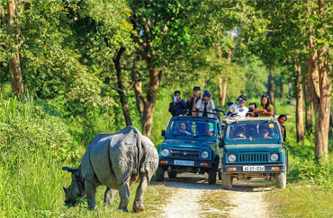 Kaziranga National Park - Wikipedia