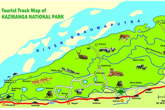 kaziranga map