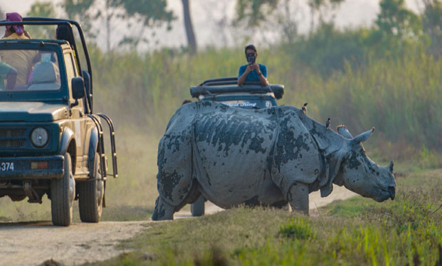 kaziranga tour