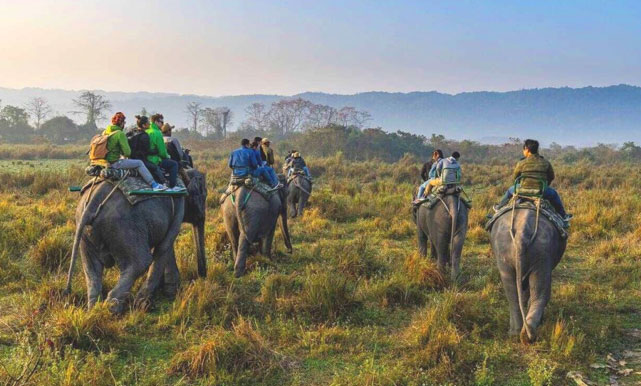 kaziranga tour