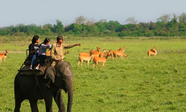 kaziranga tour