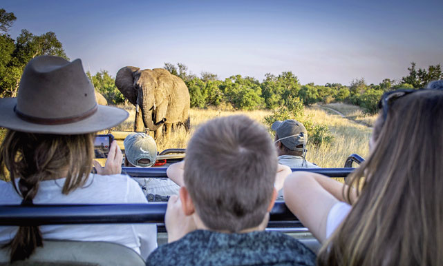 kaziranga tour