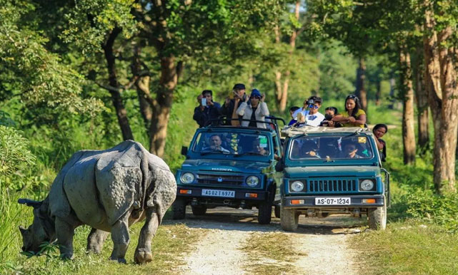 kaziranga tour