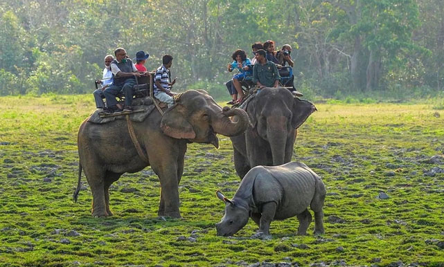 kaziranga tour