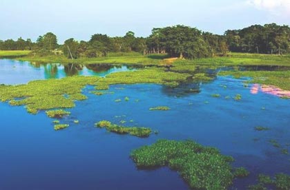 majuli river island