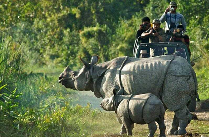 manas jeep safari 