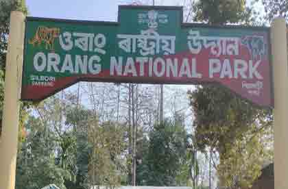 orang National Park Assam