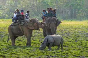 kaziranga fun tour