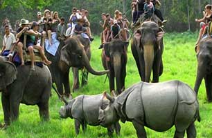 kaziranga weekend tour