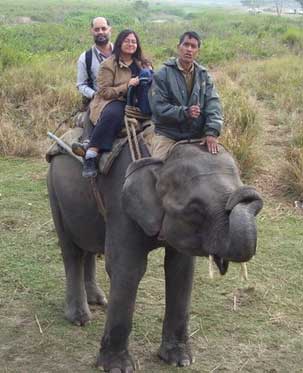 kaziranga elephant safari online booking