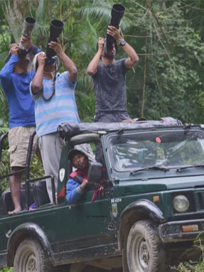 kaziranga jeep safari