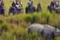 kaziranga holiday tour