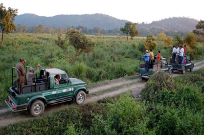 kaziranga tour